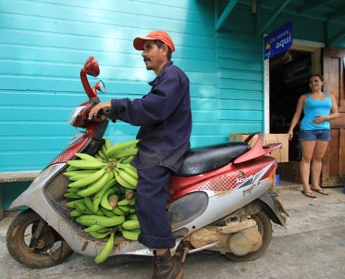 honduras_karibik_utila_tauchen_10