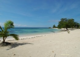 honduras_karibik_utila_tauchen_11