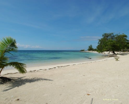 honduras_karibik_utila_tauchen_11