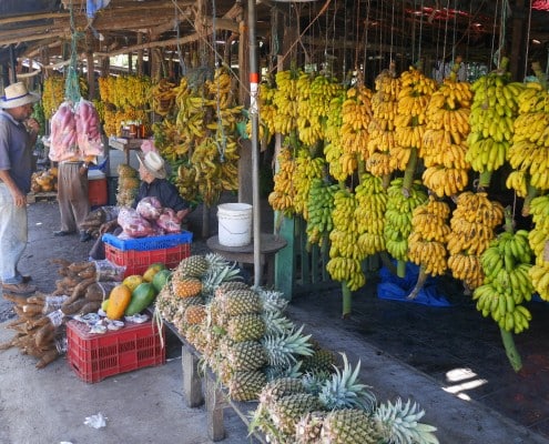 honduras_nationalpark_obststand