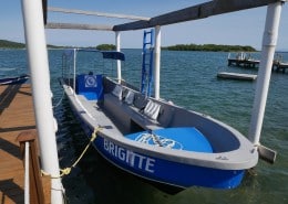 honduras_roatan_tobri_divers_tauchboot