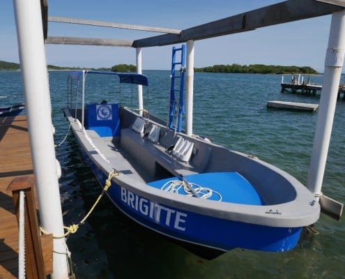 honduras_roatan_tobri_divers_tauchboot