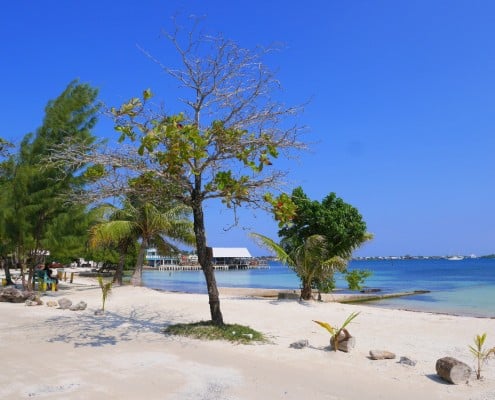 honduras_utila_blue_bayou_public_beach
