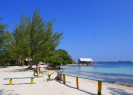 honduras_utila_blue_bayou_strand