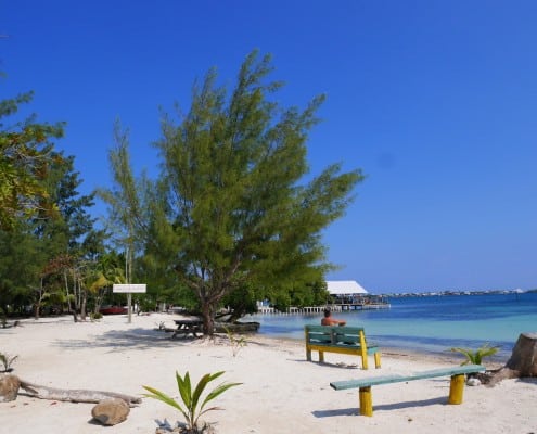 honduras_utila_blue_bayou_strand_meer