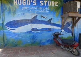 honduras_utila_walhai_wandbild_karibik