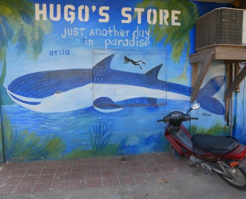 honduras_utila_walhai_wandbild_karibik