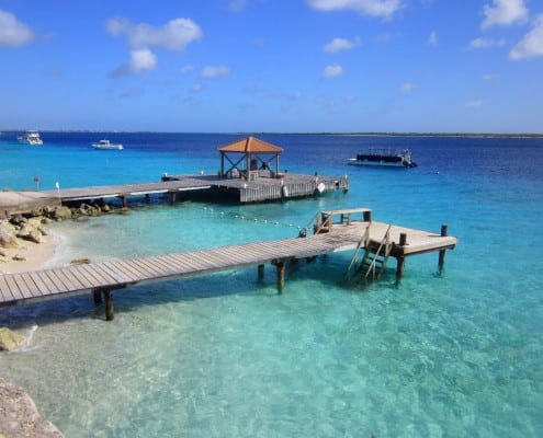 karibik_bonaire_captain_dons_habitat_tauchen_40