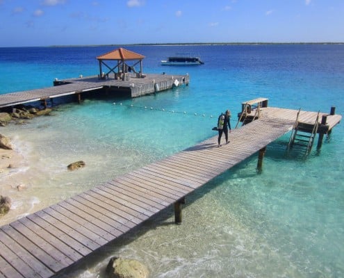 karibik_bonaire_captain_dons_habitat_tauchen_51