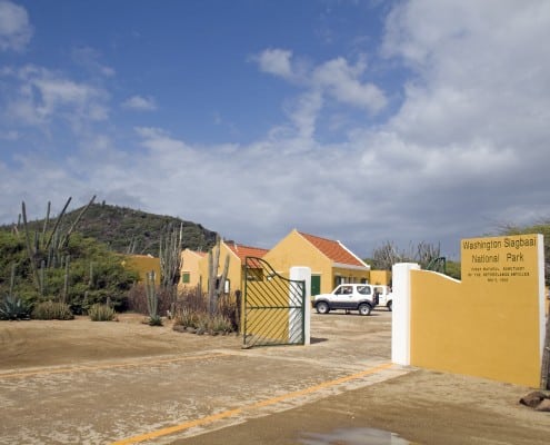 karibik_bonaire_tauchen43