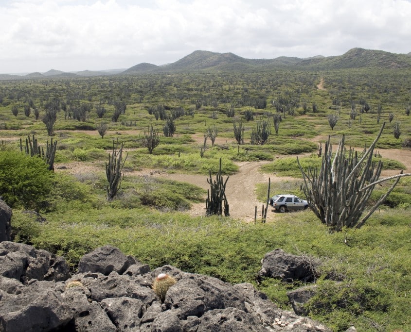 karibik_bonaire_tauchen48