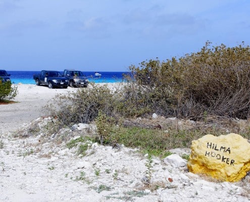 karibik_bonaire_tauchen_hilma_hooker