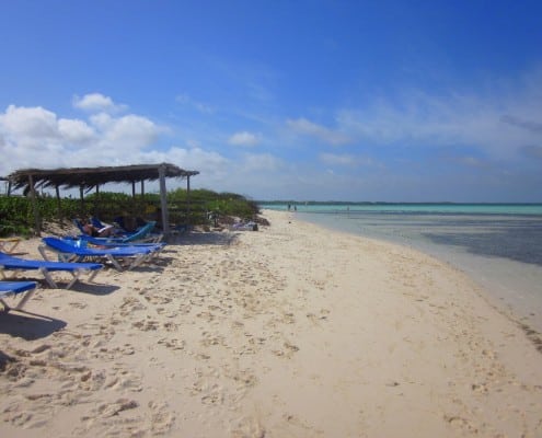 karibik_bonaire_tauchen_tauchreisen_03