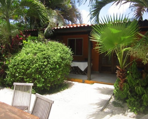 karibik_bonaire_tropical_inn_tauchen_36