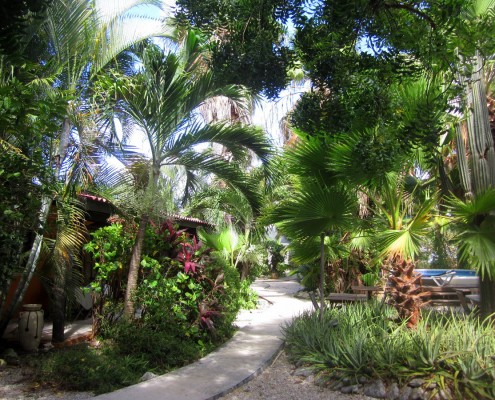 karibik_bonaire_tropical_inn_tauchen_40