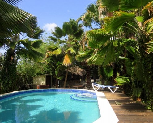 karibik_bonaire_tropical_inn_tauchen_41