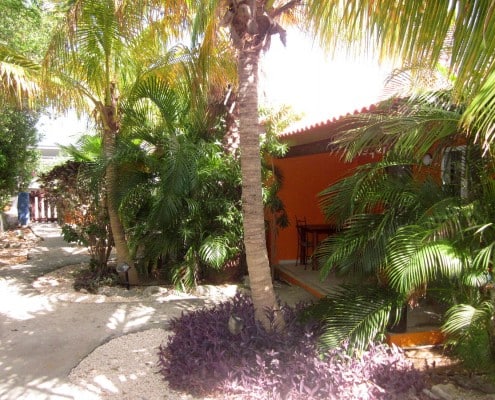 karibik_bonaire_tropical_inn_tauchen_42