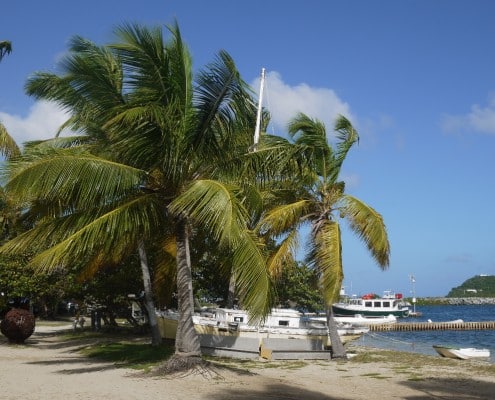 karibik_british_virgin_islands_tortola_tauchen_trellis_bay