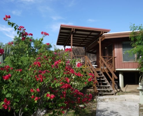 karibik_british_virgin_islands_virgin_gorda_guavaberry_appartements_07