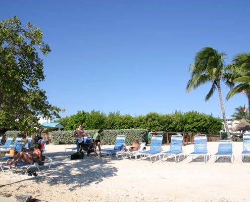 karibik_florida_key_largo__ocean_pointe_suites_tauchen21