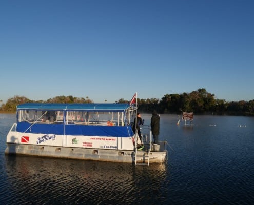 karibik_florida_key_largo_crystal_river_manatee_tauchen_01