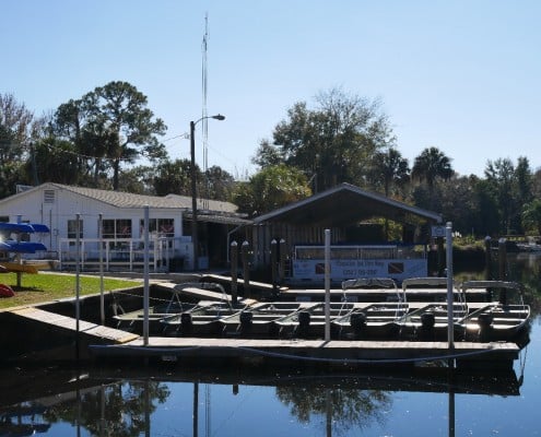 karibik_florida_key_largo_crystal_river_manatee_tauchen_29