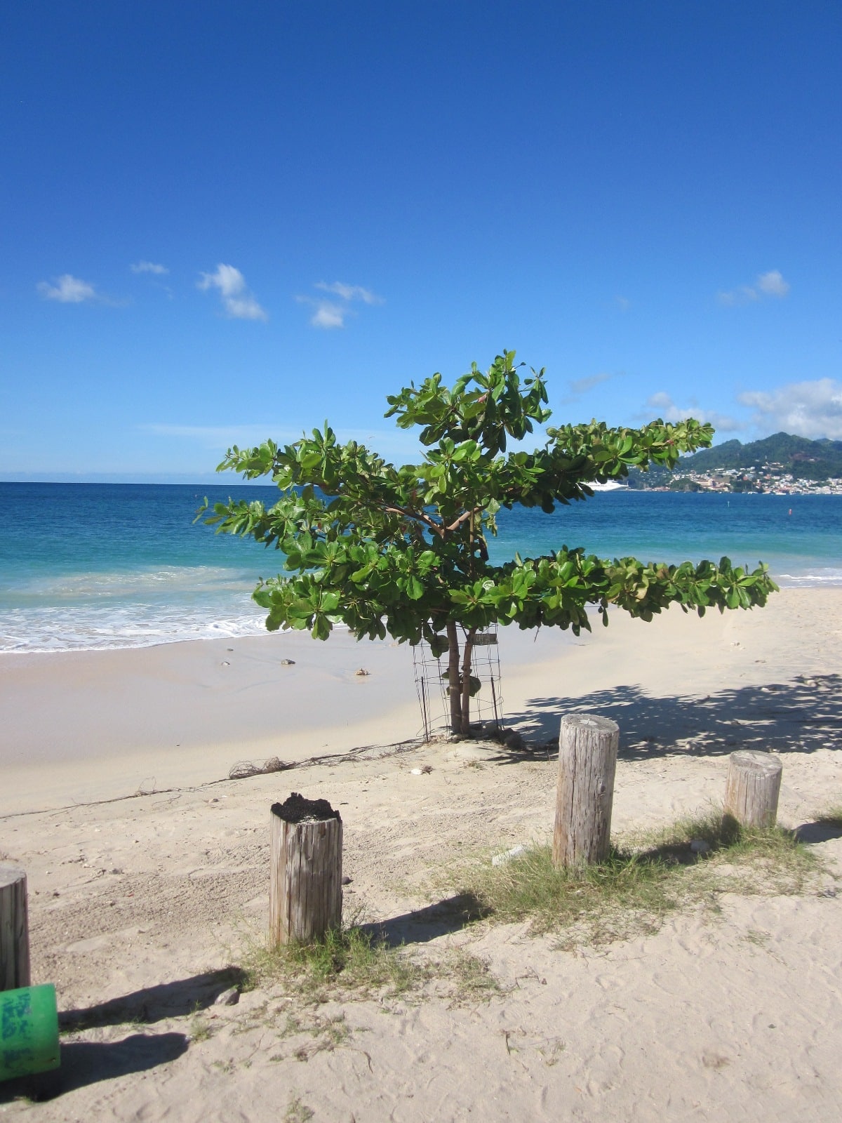 karibik_grenada_grand_anse_beach_tauchen_21