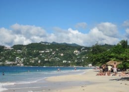 karibik_grenada_grand_anse_beach_tauchen_22