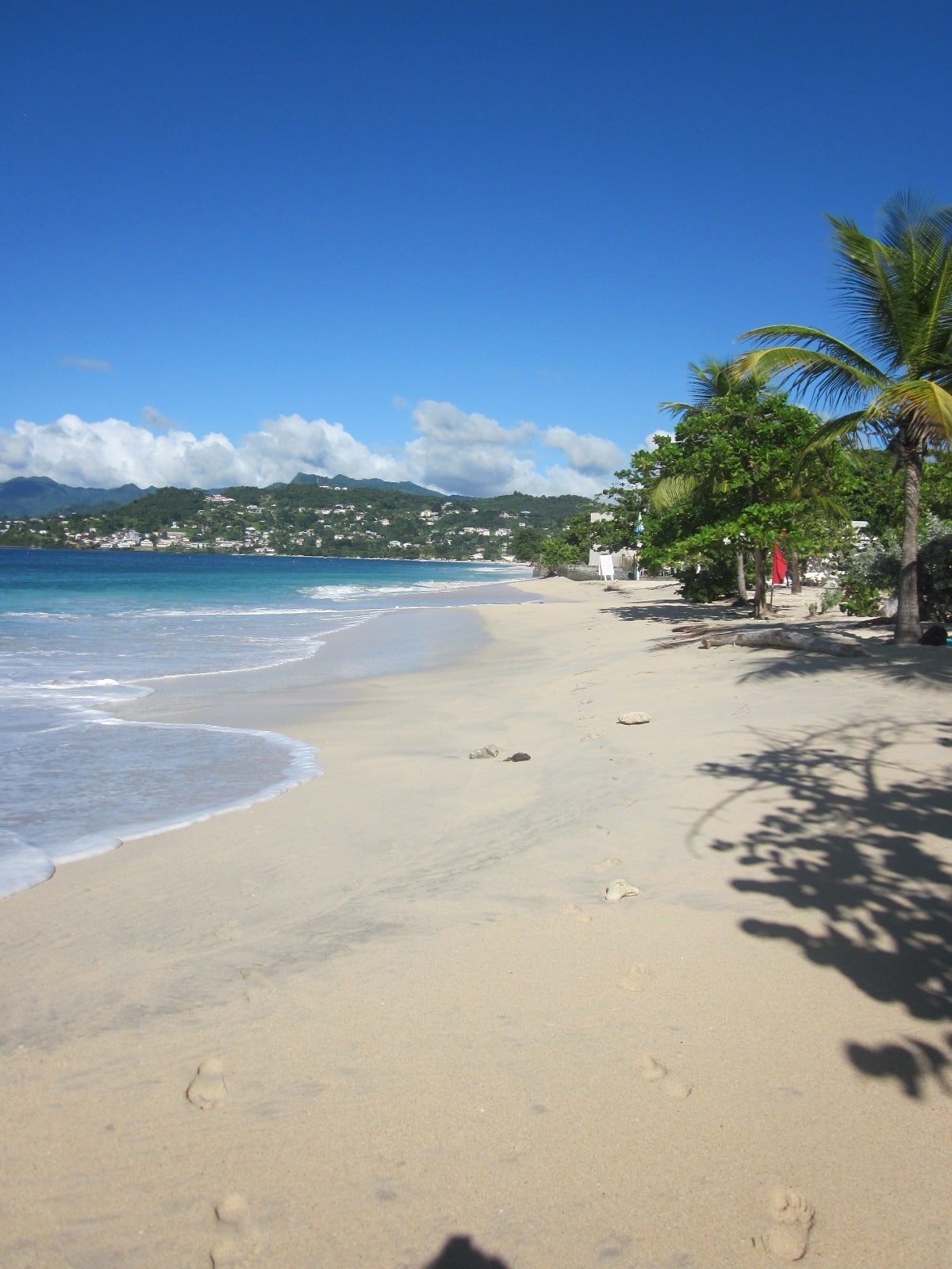 karibik_grenada_grand_anse_beach_tauchen_23
