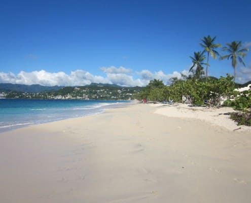 karibik_grenada_grand_anse_beach_tauchen_25