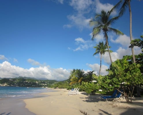 karibik_grenada_grand_anse_beach_tauchen_36
