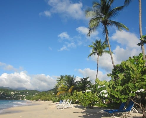 karibik_grenada_grand_anse_beach_tauchen_37