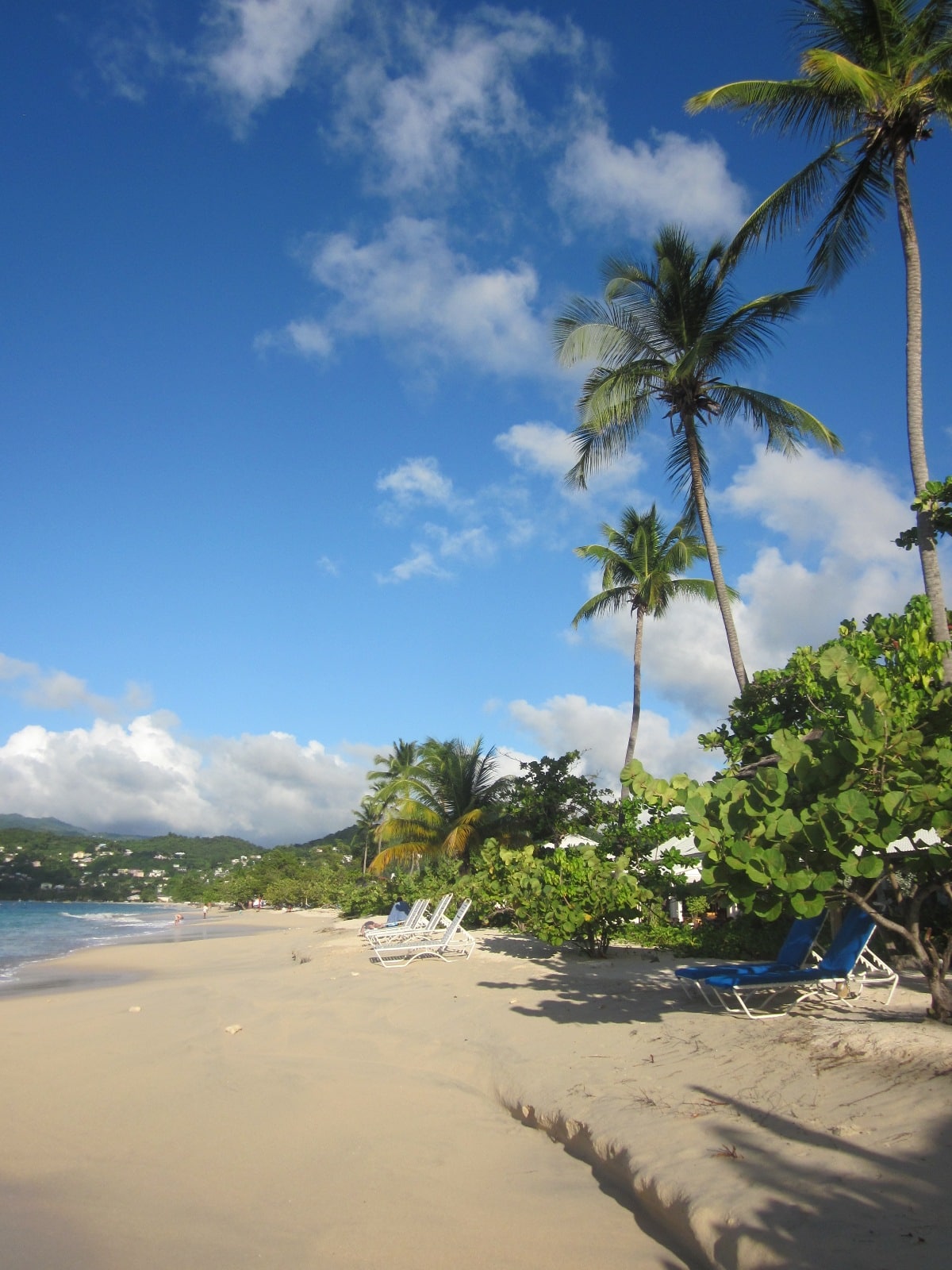 karibik_grenada_grand_anse_beach_tauchen_37