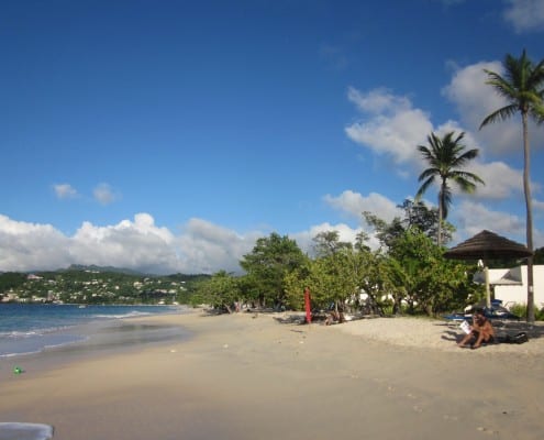 karibik_grenada_grand_anse_beach_tauchen_39