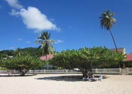 karibik_grenada_grand_beach_tauchen_37