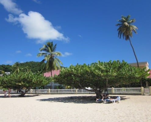 karibik_grenada_grand_beach_tauchen_37