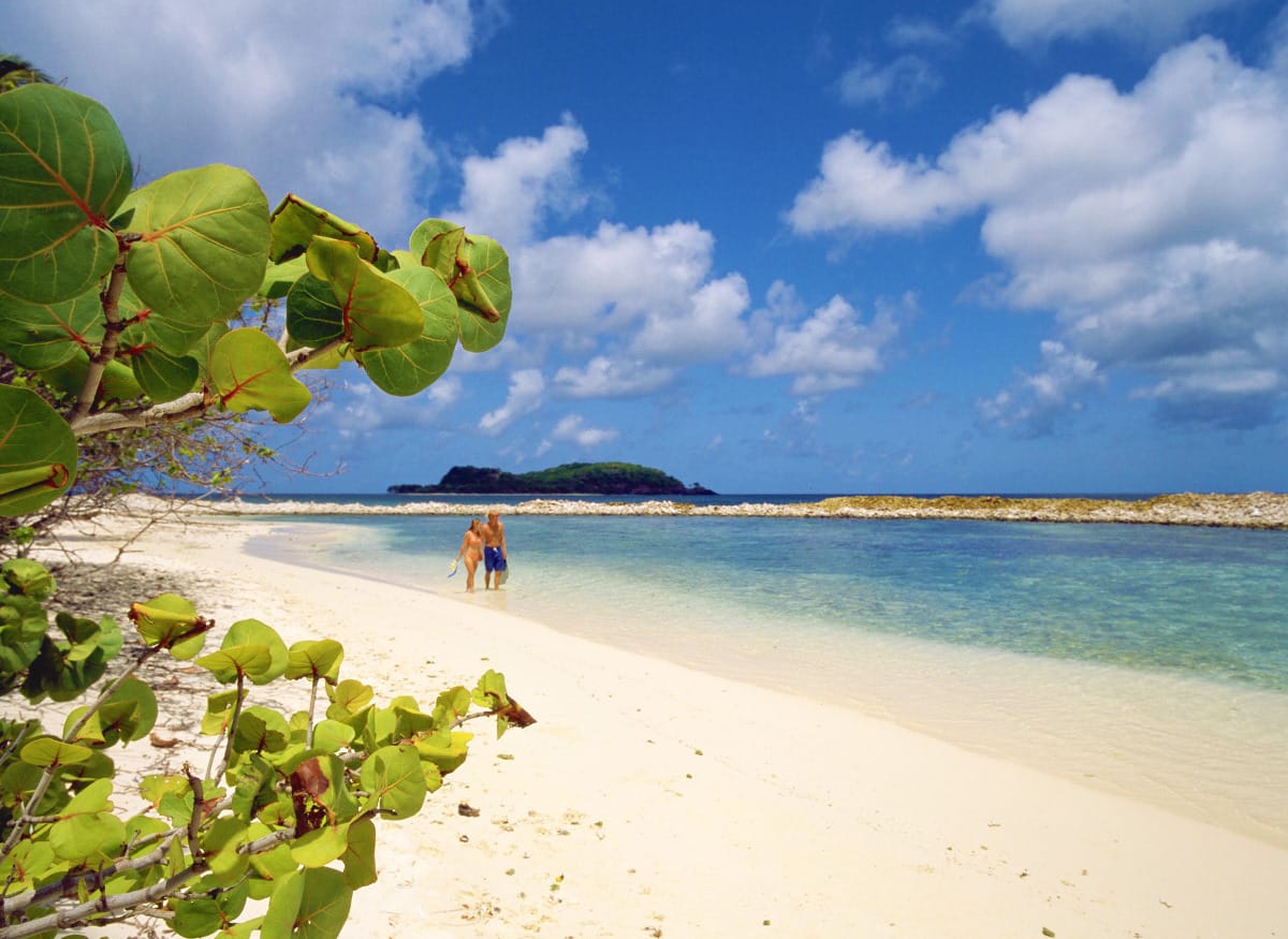 karibik_grenada_tauchen_19
