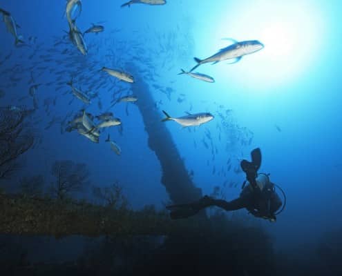 karibik_grenada_tauchen_20