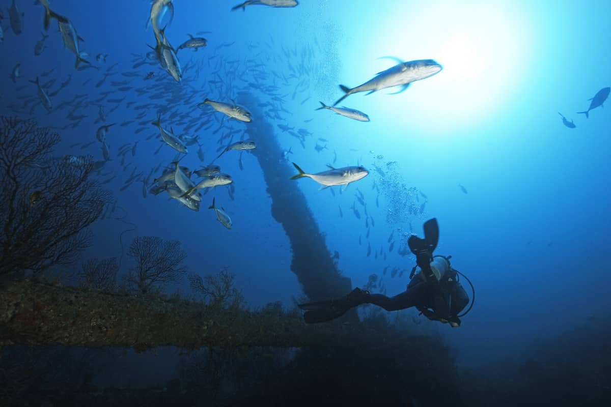 karibik_grenada_tauchen_20