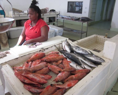 karibik_grenada_tauchen_22