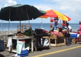 karibik_grenada_tauchen_23