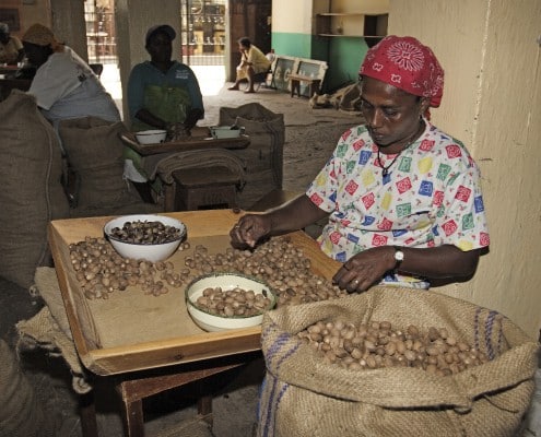 karibik_grenada_tauchen_58