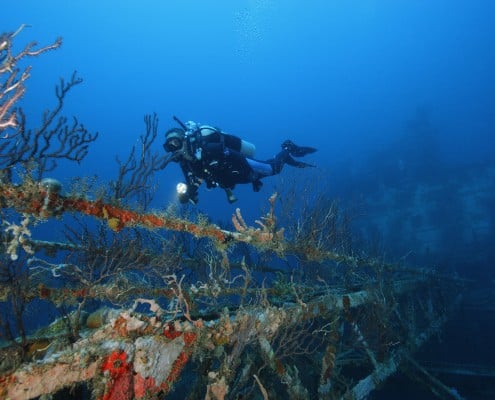 karibik_grenada_tauchen_64