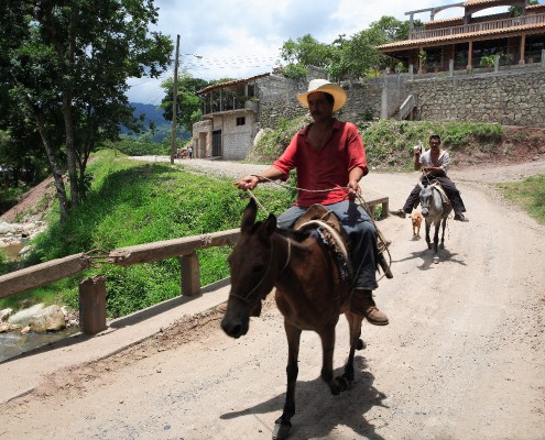 karibik_honduras_copan_tauchen_22