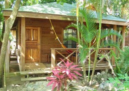 karibik_honduras_roatan_las_rocas_bungalow_tauchen_10