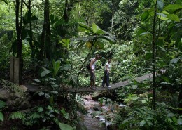 karibik_honduras_roatan_tauchen_06