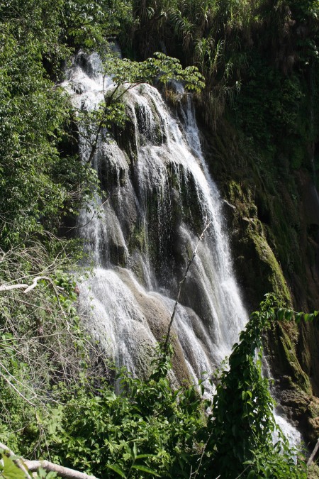 karibik_honduras_roatan_tauchen_13