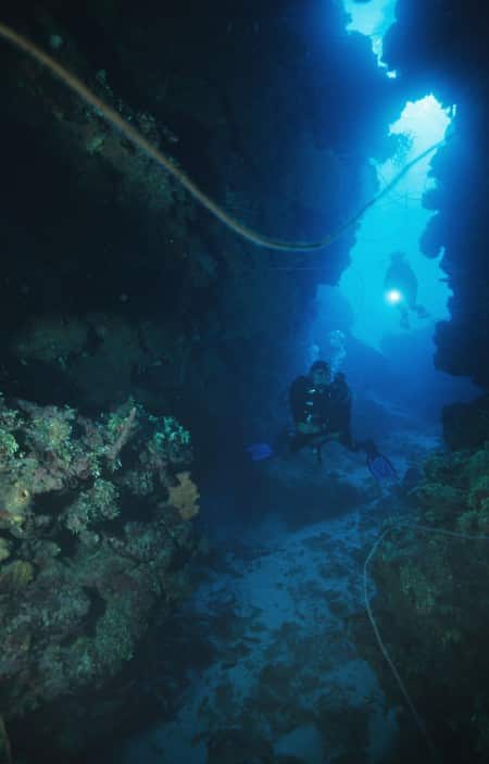 karibik_honduras_roatan_tauchen_85