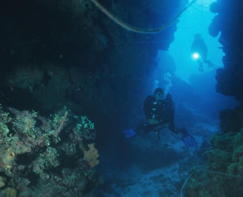 karibik_honduras_roatan_tauchen_85
