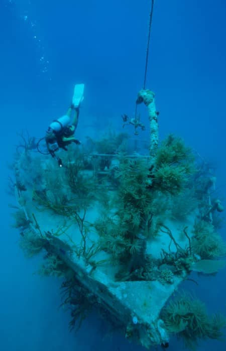 karibik_honduras_roatan_wrack_prince_albert_tauchen_87